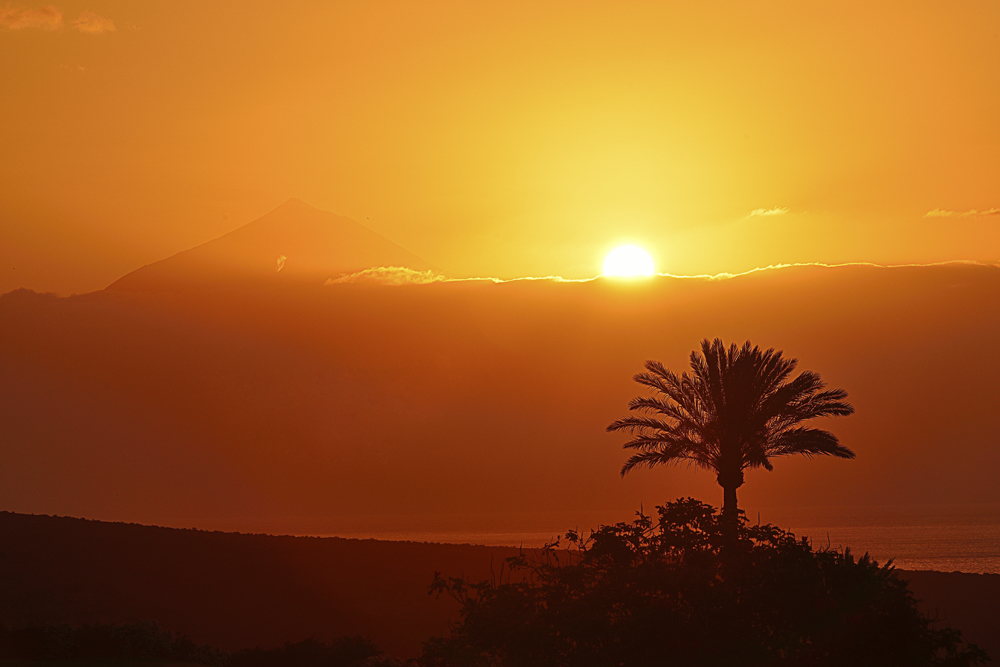 Platz 10 Franz Mueller